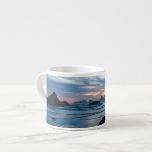 USA, Oregon, Bandon Beach. Måse på sten Espressomugg