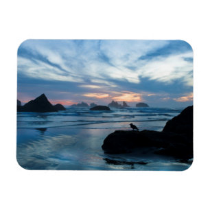 USA, Oregon, Bandon Beach. Måse på sten Magnet