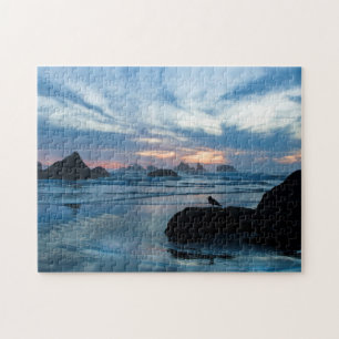USA, Oregon, Bandon Beach. Måse på sten Pussel