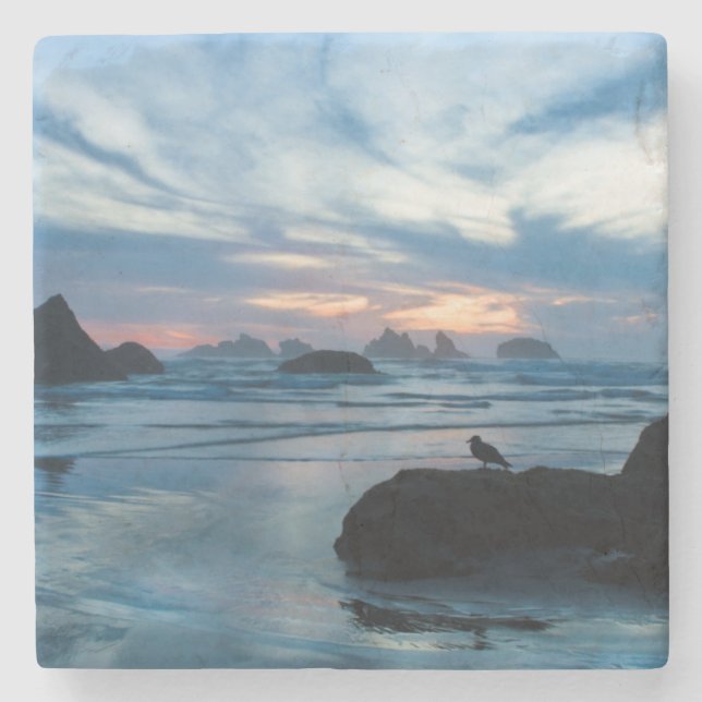 USA, Oregon, Bandon Beach. Måse på sten Underlägg Sten (Framsidan)