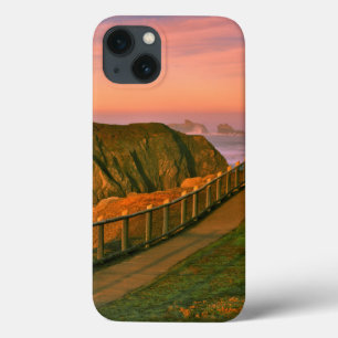 USA, Oregon, Bandon. Sten visad från spår