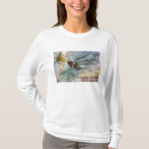 USA, Oregon, Bend. Ponderosatallbarrsnålar är T-shirt