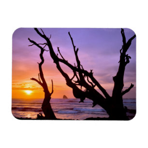 USA, Oregon, Cape Meares. Solnedgång Magnet