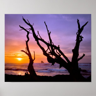 USA, Oregon, Cape Meares. Solnedgång Poster