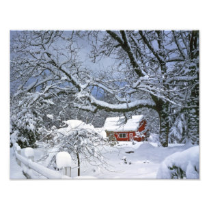 USA, Oregon, Clackamas County. Färsk snö Fototryck