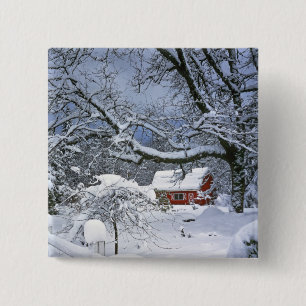 USA, Oregon, Clackamas County. Färsk snö Knapp
