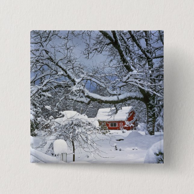 USA, Oregon, Clackamas County. Färsk snö Knapp (Framsida)