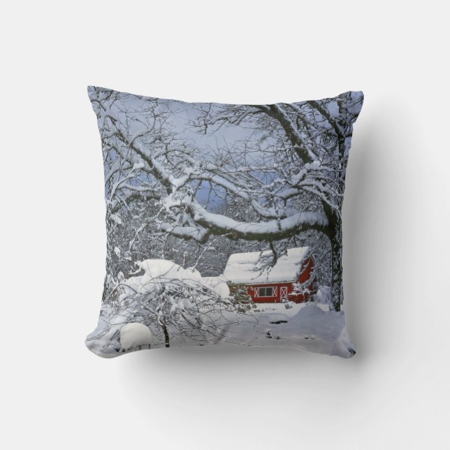 USA, Oregon, Clackamas County. Färsk snö Kudde (Framsida)