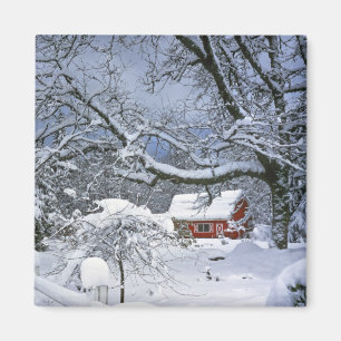 USA, Oregon, Clackamas County. Färsk snö Magnet