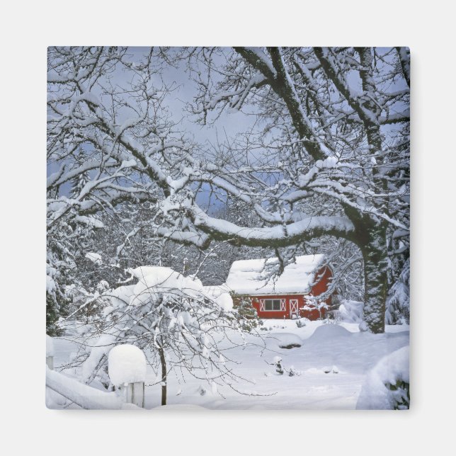 USA, Oregon, Clackamas County. Färsk snö Magnet (Framsidan)