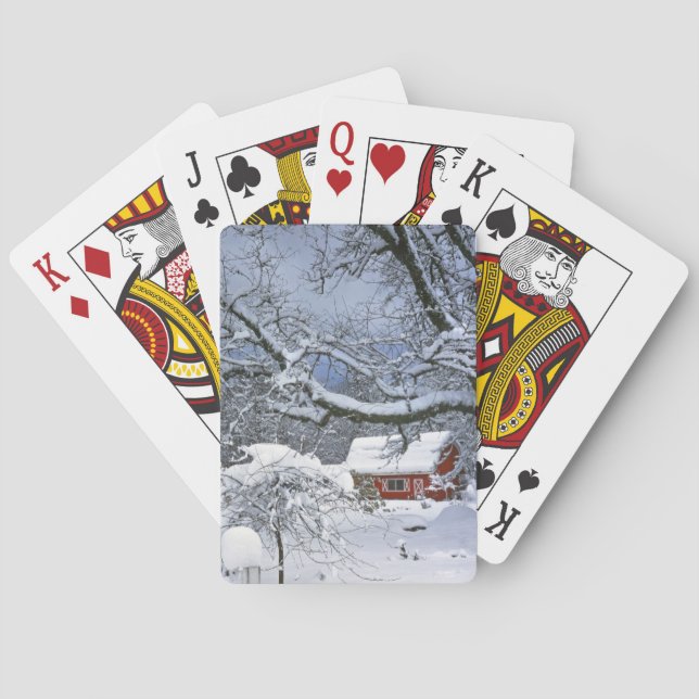 USA, Oregon, Clackamas County. Färsk snö Spel Kort (Baksidan)