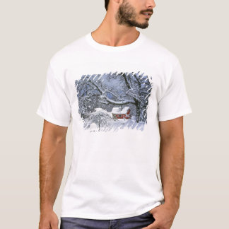 USA, Oregon, Clackamas County. Färsk snö T Shirt