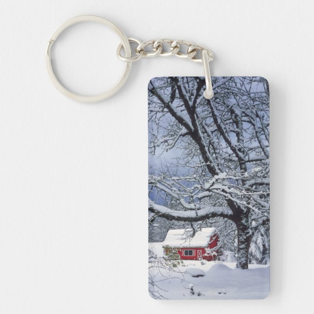 USA, Oregon, Clackamas County. Färsk snö täcker (Framsidan)