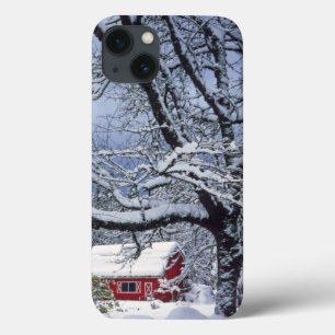 USA, Oregon, Clackamas County. Färsk snö täcker