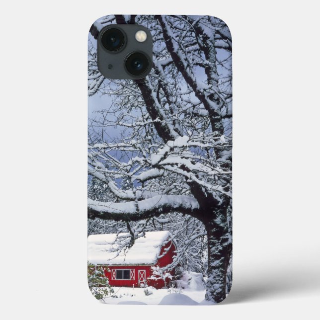 USA, Oregon, Clackamas County. Färsk snö täcker (Baksida)