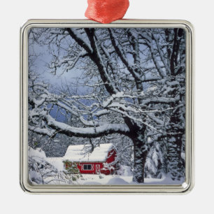 USA, Oregon, Clackamas County. Färsk snö täcker Julgransprydnad Metall