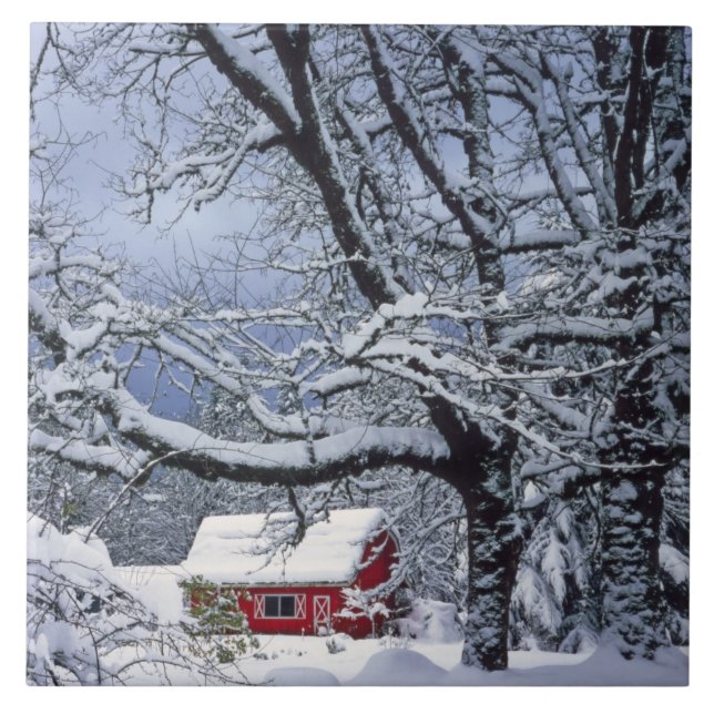 USA, Oregon, Clackamas County. Färsk snö täcker Kakelplatta (Framsidan)