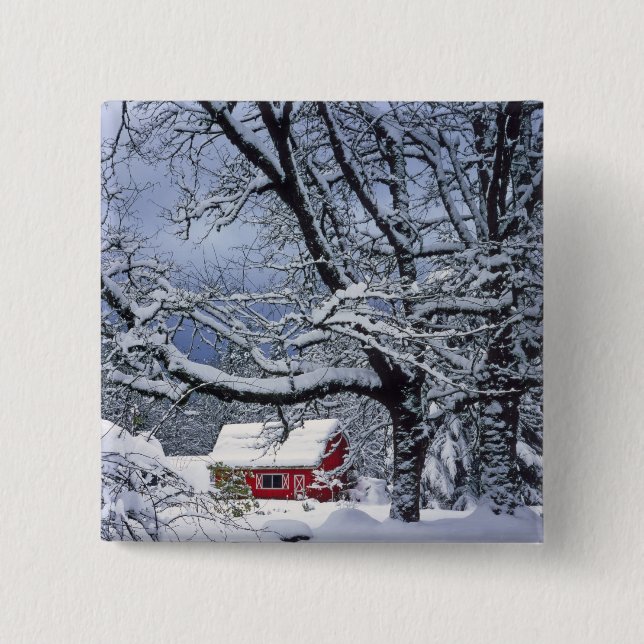 USA, Oregon, Clackamas County. Färsk snö täcker Knapp (Framsida)
