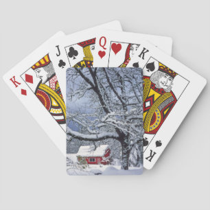 USA, Oregon, Clackamas County. Färsk snö täcker Kortlek