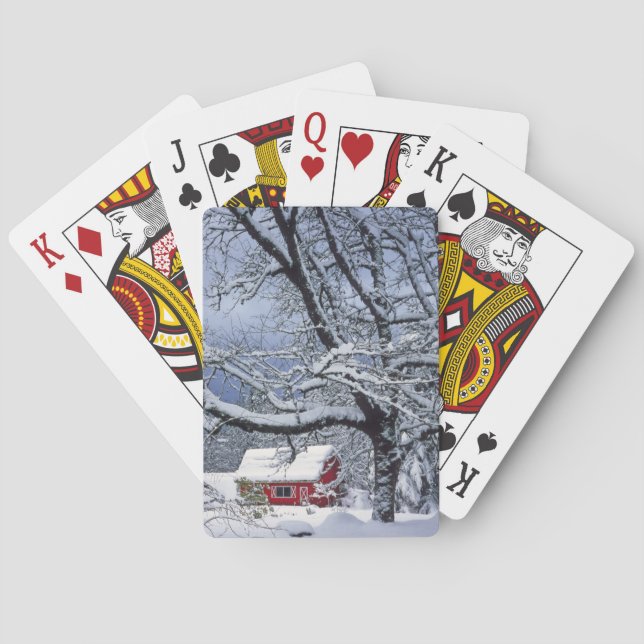 USA, Oregon, Clackamas County. Färsk snö täcker Kortlek (Baksidan)