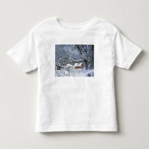 USA, Oregon, Clackamas County. Färsk snö Tee Shirt