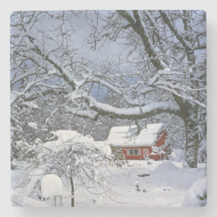 USA, Oregon, Clackamas County. Färsk snö Underlägg Sten