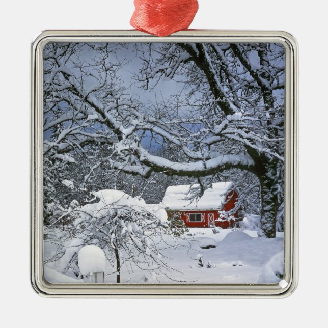 USA Oregon, Clackamas County. Ny snö Julgransprydnad Metall (Framsidan)