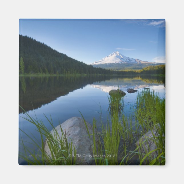 USA, Oregon, Clackamas County, View of Trillium 3 Magnet (Framsidan)