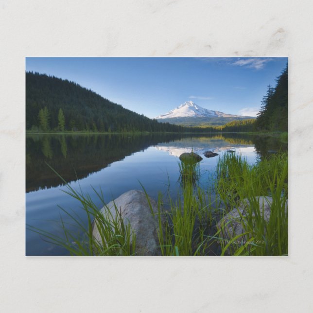 USA, Oregon, Clackamas County, View of Trillium 3 Vykort (Framsida)
