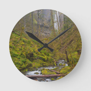 USA, Oregon, Columbia Gorge Rund Klocka