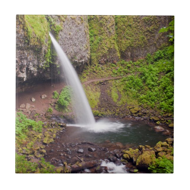 USA, Oregon, Columbia River Gorge 4 Kakelplatta (Framsidan)