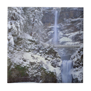 USA, Oregon, Columbia River Gorge Kakelplatta