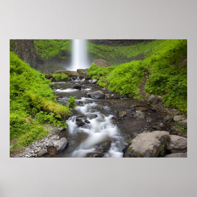 USA, Oregon, Columbia River Gorge, Latourell Poster (Framsidan)