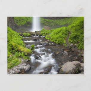 USA, Oregon, Columbia River Gorge, Latourell Vykort