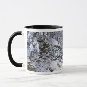 USA, Oregon, Columbia River Gorge Mugg