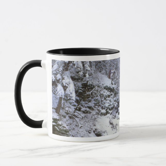 USA, Oregon, Columbia River Gorge Mugg (Vänster)