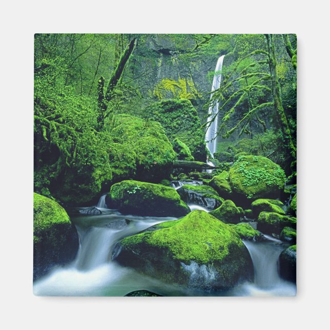 USA, Oregon, Columbia River Gorge National 2 Magnet (Framsidan)