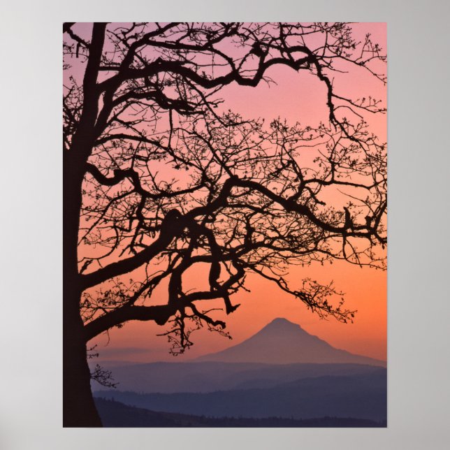 USA, Oregon, Columbia River Gorge National 2 Poster (Framsidan)