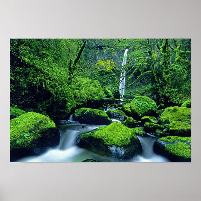 USA, Oregon, Columbia River Gorge National 2 Poster (Framsidan)