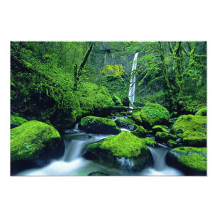 USA, Oregon, Columbia River Gorge National 3 Fototryck