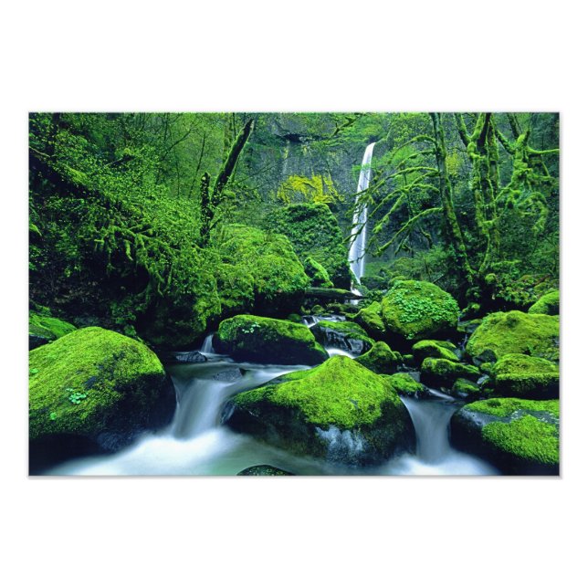 USA, Oregon, Columbia River Gorge National 3 Fototryck (Framsidan)