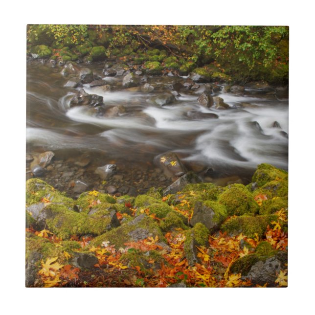 USA, Oregon, Columbia River Gorge, Tanner Creek 2 Kakelplatta (Framsidan)