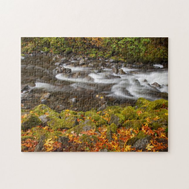 USA, Oregon, Columbia River Gorge, Tanner Creek 2 Pussel (Horisontell)