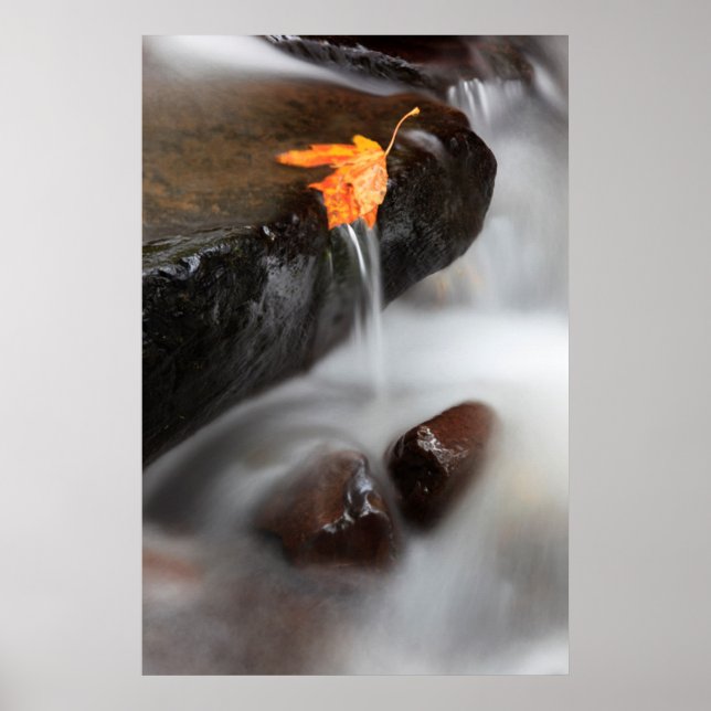 USA, Oregon, Columbia River Gorge, Tanner Creek 3 Poster (Framsidan)