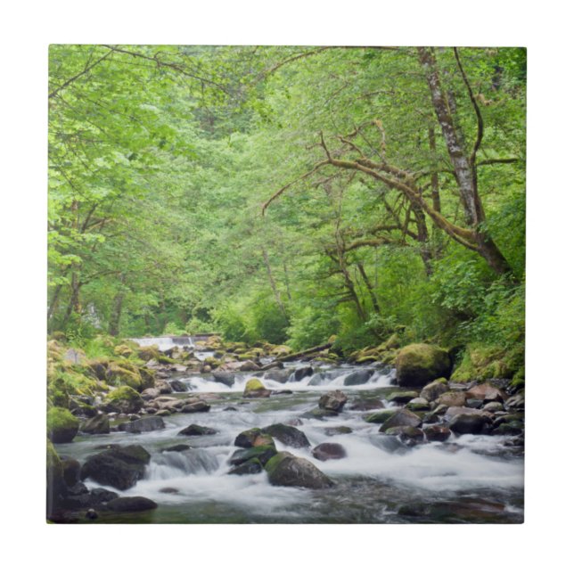 USA, Oregon, Columbia River Gorge, Tanner Creek 4 Kakelplatta (Framsidan)