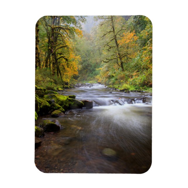 USA, Oregon, Columbia River Gorge, Tanner Creek Magnet (Vertikal)