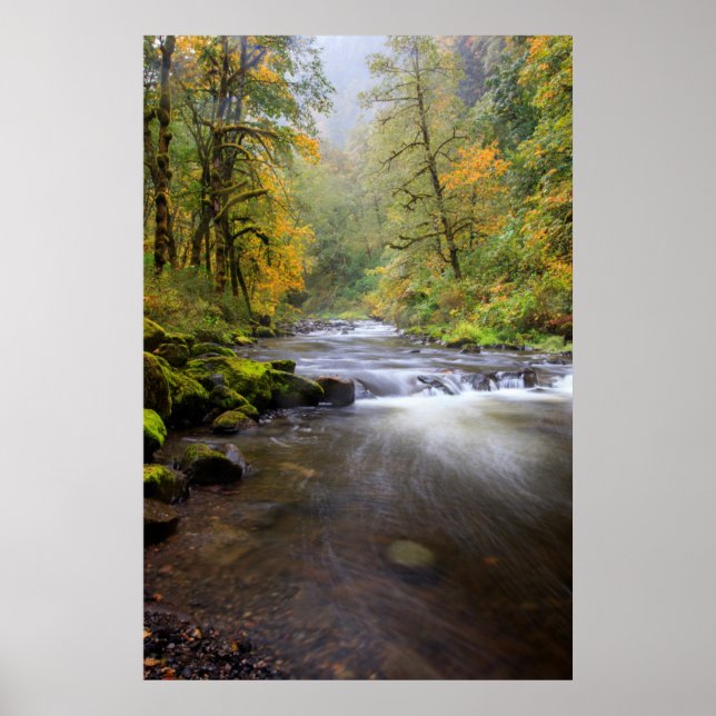 USA, Oregon, Columbia River Gorge, Tanner Creek Poster (Framsidan)