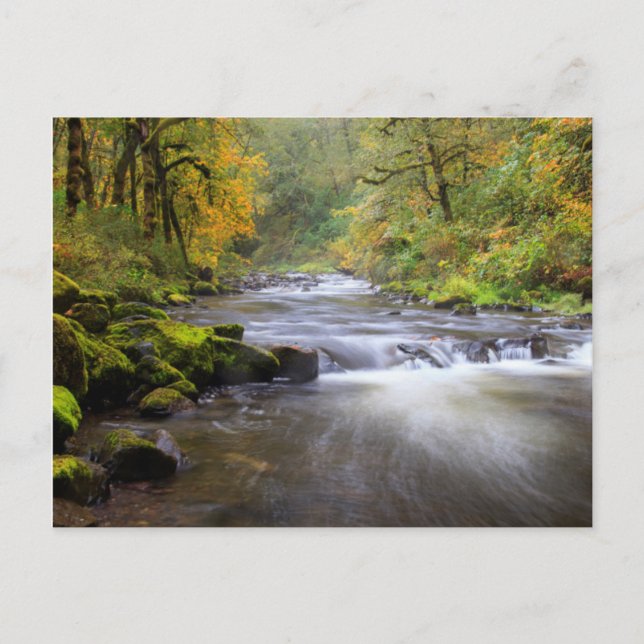 USA, Oregon, Columbia River Gorge, Tanner Creek Vykort (Framsida)