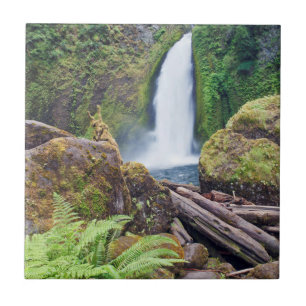 USA, Oregon, Columbia River Gorge, Wahclella Kakelplatta