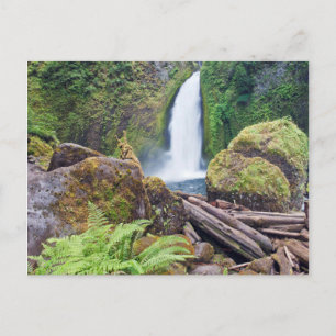 USA, Oregon, Columbia River Gorge, Wahclella Vykort